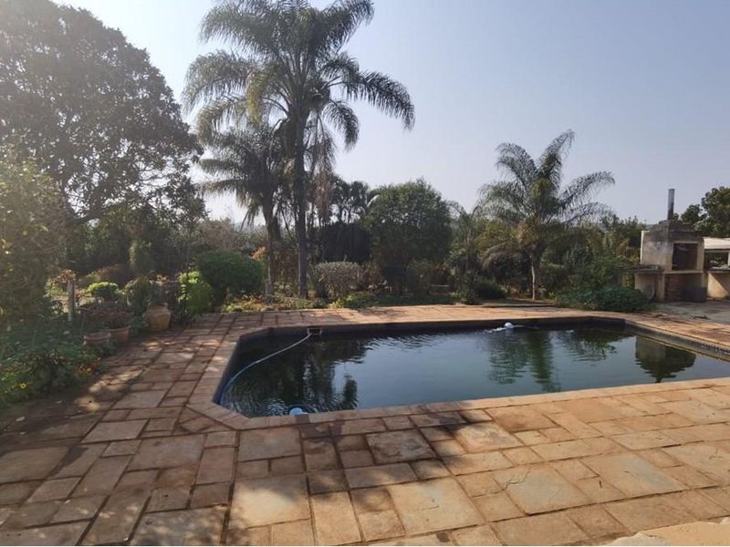 16Ha Macadamia Farm with 3 Dwelings and dam. PRICED RIGHT! - Photo 2