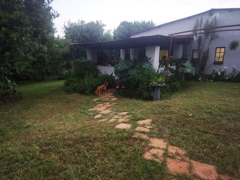 16Ha Macadamia Farm with 3 Dwelings and dam. PRICED RIGHT! - Photo 3