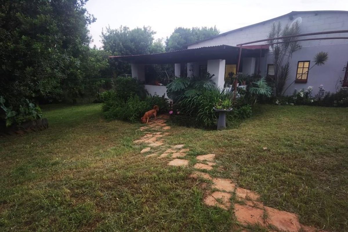 16Ha Macadamia Farm with 3 Dwelings and dam. PRICED RIGHT! - Photo 3
