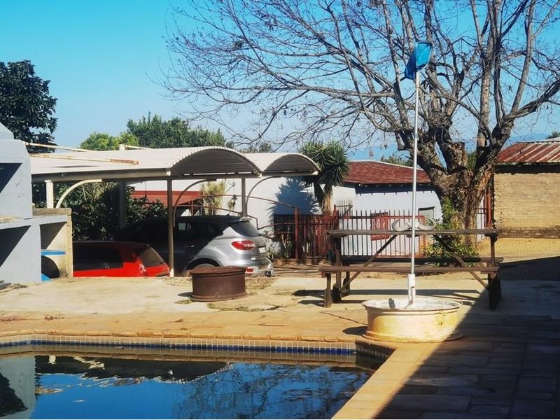 16Ha Macadamia Farm with 3 Dwelings and dam. PRICED RIGHT! - Photo 5