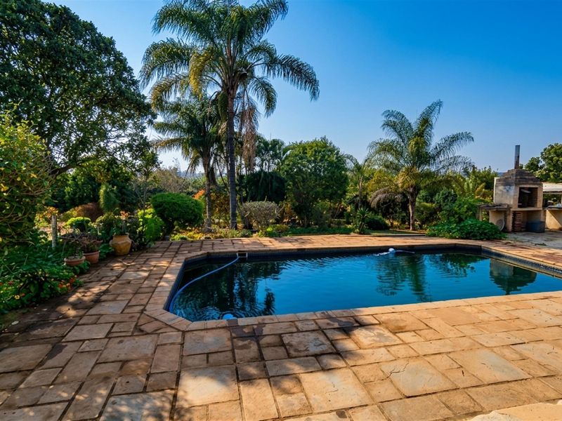 Outdoor pool area featuring stone paving, a built-in braai, and established garden surroundings with mature palm trees.