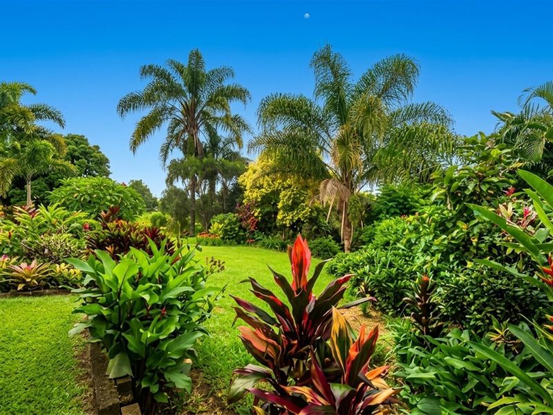 A lush, well-maintained garden featuring mature palm trees, vibrant tropical foliage, and a manicured lawn.
