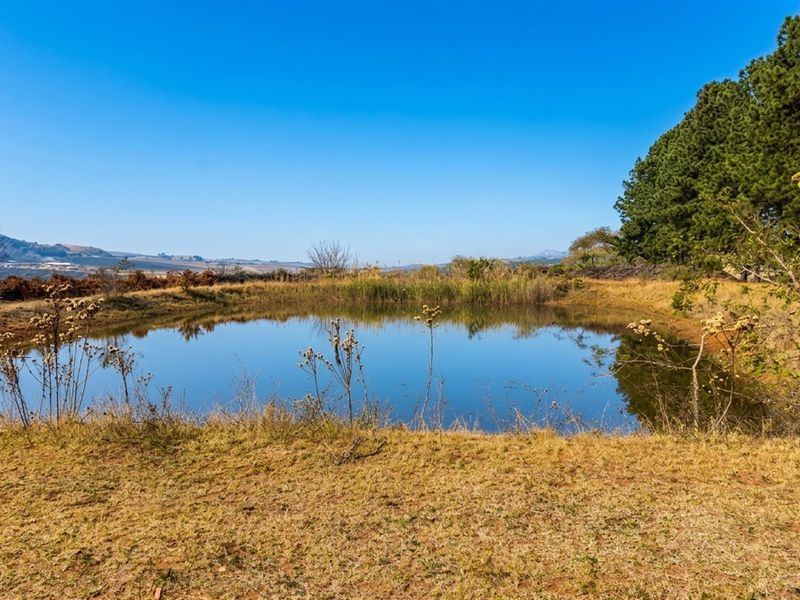 A scenic view of a natural farm pond surrounded by open fields and mature trees under a clear blue sky.