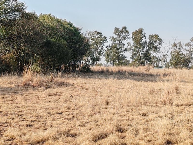 ORANJEVILLE * FREE STATE * VACANT STAND *  1996 SQM * BEAUTIFUL STAND * R95 000.00 - Photo 7