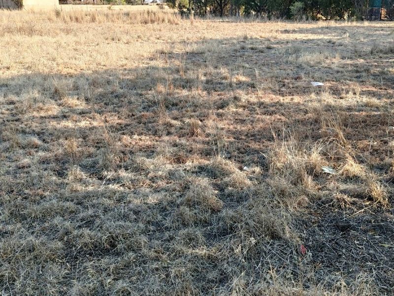 ORANJEVILLE * FREE STATE * VACANT STAND *  1996 SQM * BEAUTIFUL STAND * R95 000.00 - Photo 9