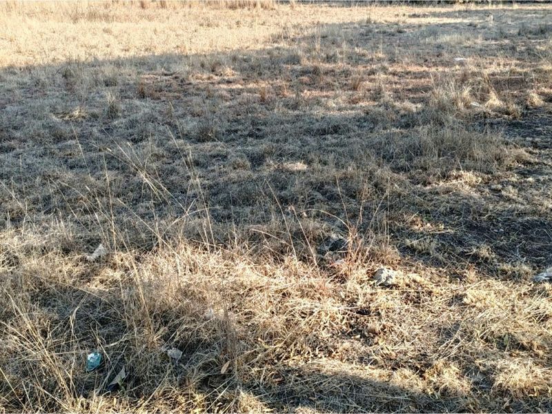 ORANJEVILLE * FREE STATE * VACANT STAND *  1996 SQM * BEAUTIFUL STAND * R95 000.00 - Photo 8