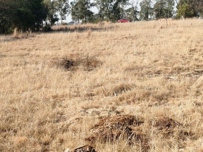 ORANJEVILLE * FREE STATE * VACANT STAND *  1996 SQM * BEAUTIFUL STAND * R95 000.00 - Photo 4