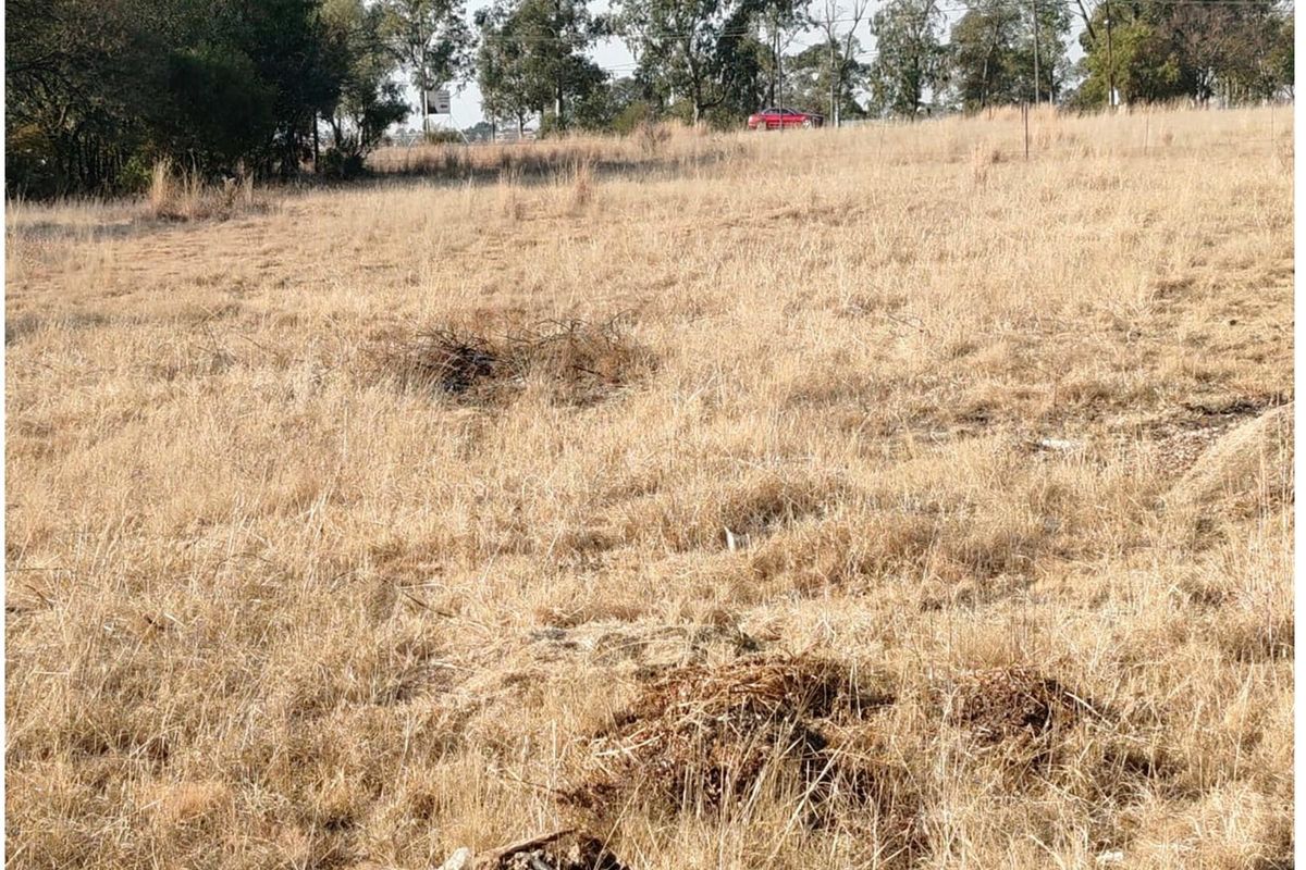 ORANJEVILLE * FREE STATE * VACANT STAND *  1996 SQM * BEAUTIFUL STAND * R95 000.00 - Photo 4