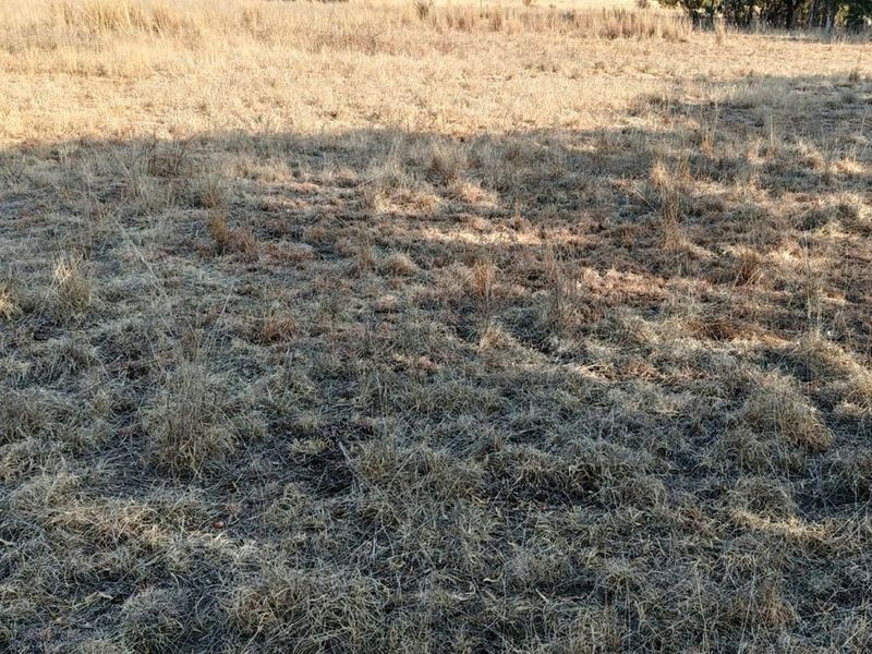 ORANJEVILLE * FREE STATE * VACANT STAND *  1996 SQM * BEAUTIFUL STAND * R95 000.00 - Photo 10