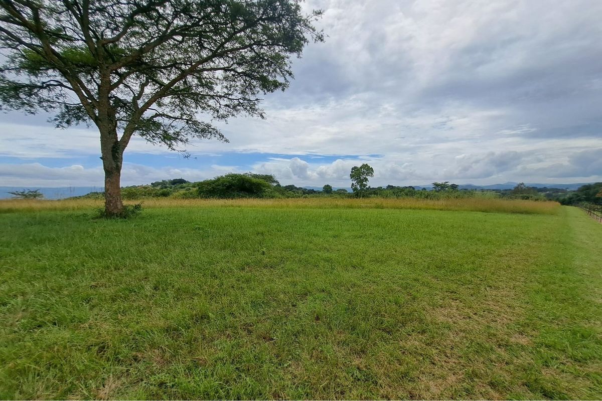 Prime Development Opportunity - 13.5 Hectare Land Located at The Rest, Uitkyk - Photo 4