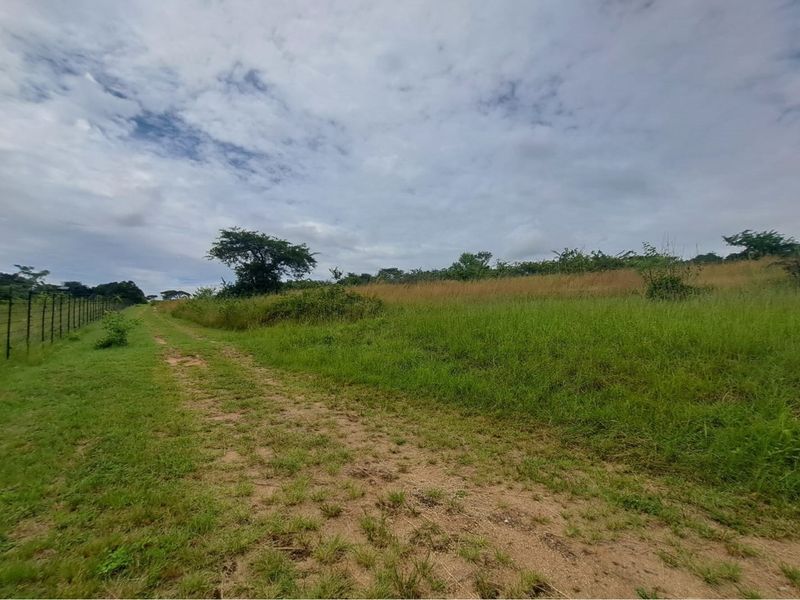 Prime Development Opportunity - 13.5 Hectare Land Located at The Rest, Uitkyk - Photo 5