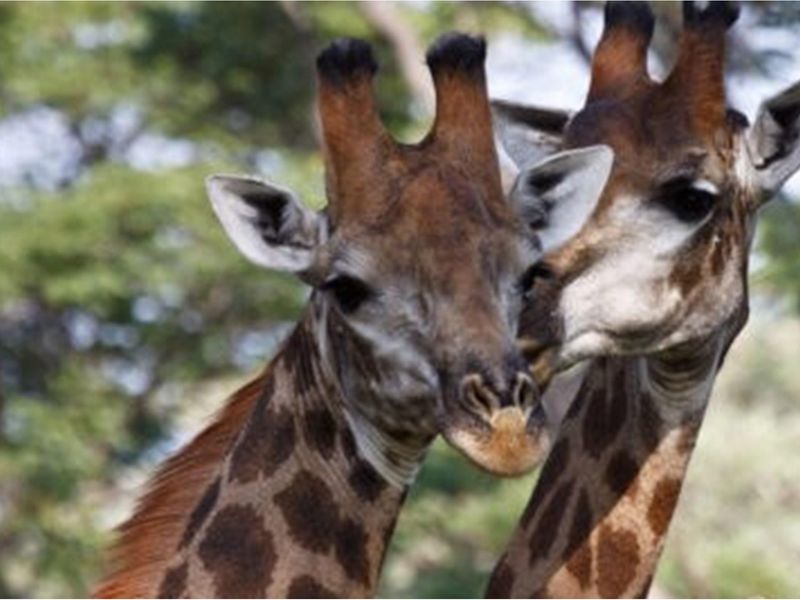 Marulani - South Africa - Vacant Land - last available panoramic stand -spectacular views - Photo 4