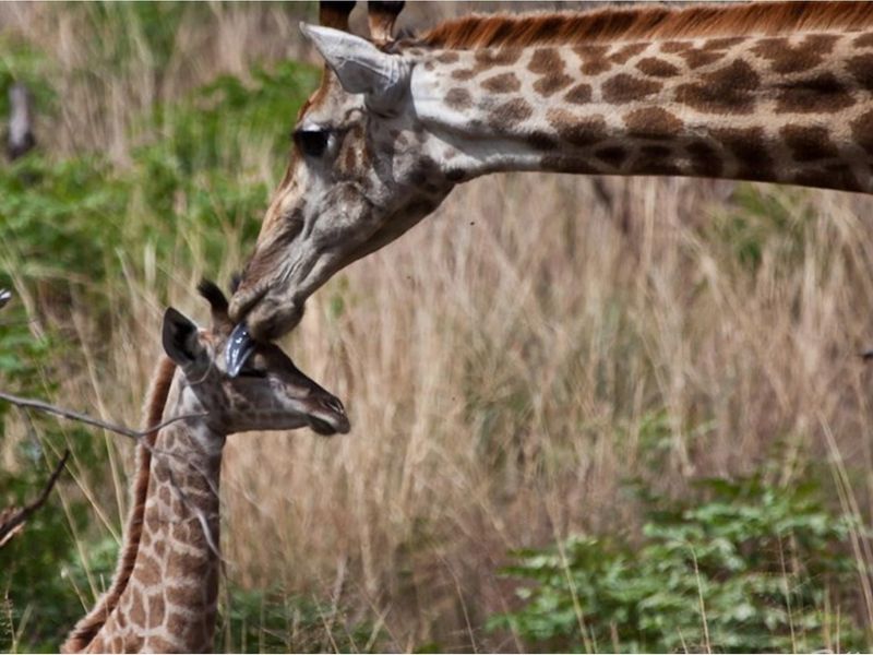 Marulani - South Africa - Vacant Land - last available panoramic stand -spectacular views - Photo 5
