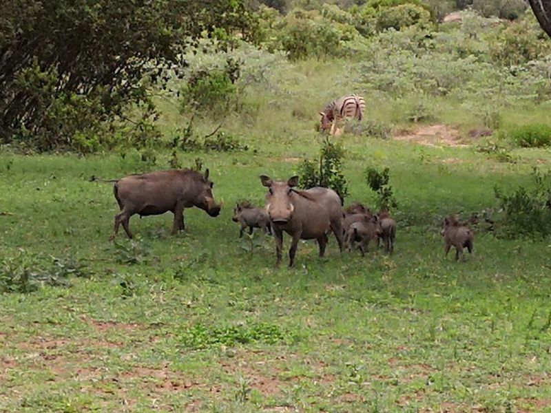 Marulani - South Africa - Vacant Land - last available panoramic stand -spectacular views - Photo 8