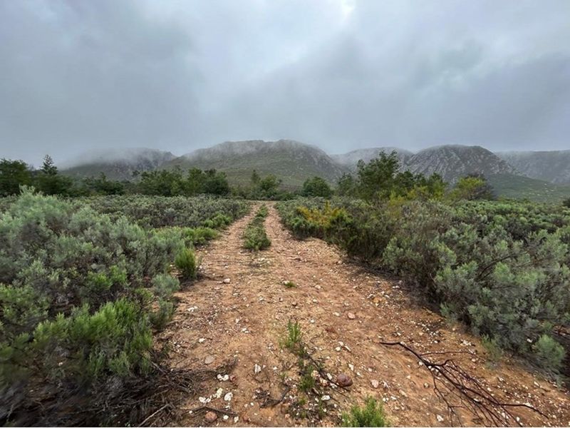 3.18 ha pristine development land close to the Cango Gaves in Oudtshoorn - Photo 1