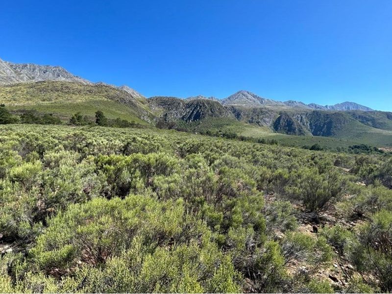 3.18 ha pristine development land close to the Cango Gaves in Oudtshoorn - Photo 4