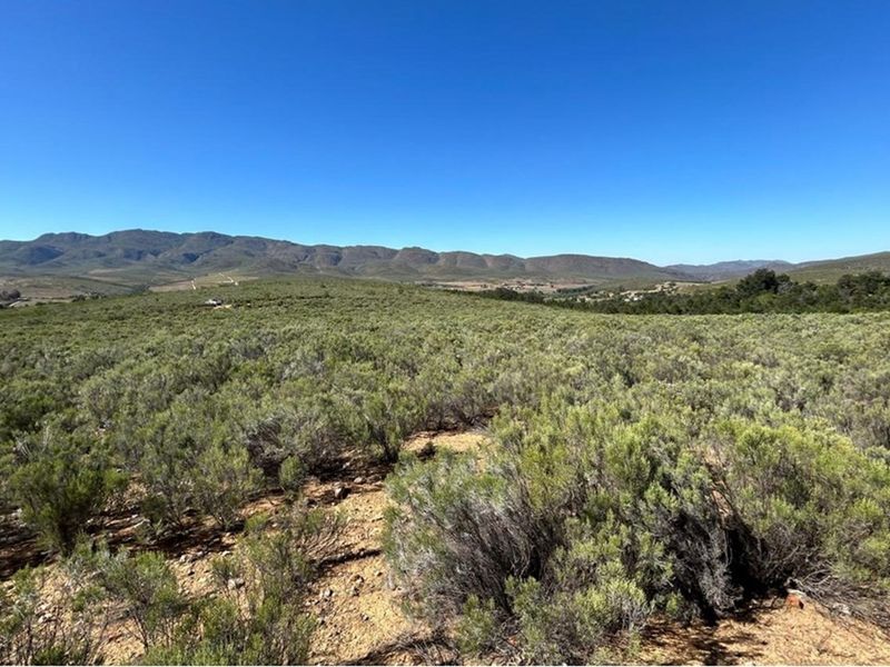 3.18 ha pristine development land close to the Cango Gaves in Oudtshoorn - Photo 5
