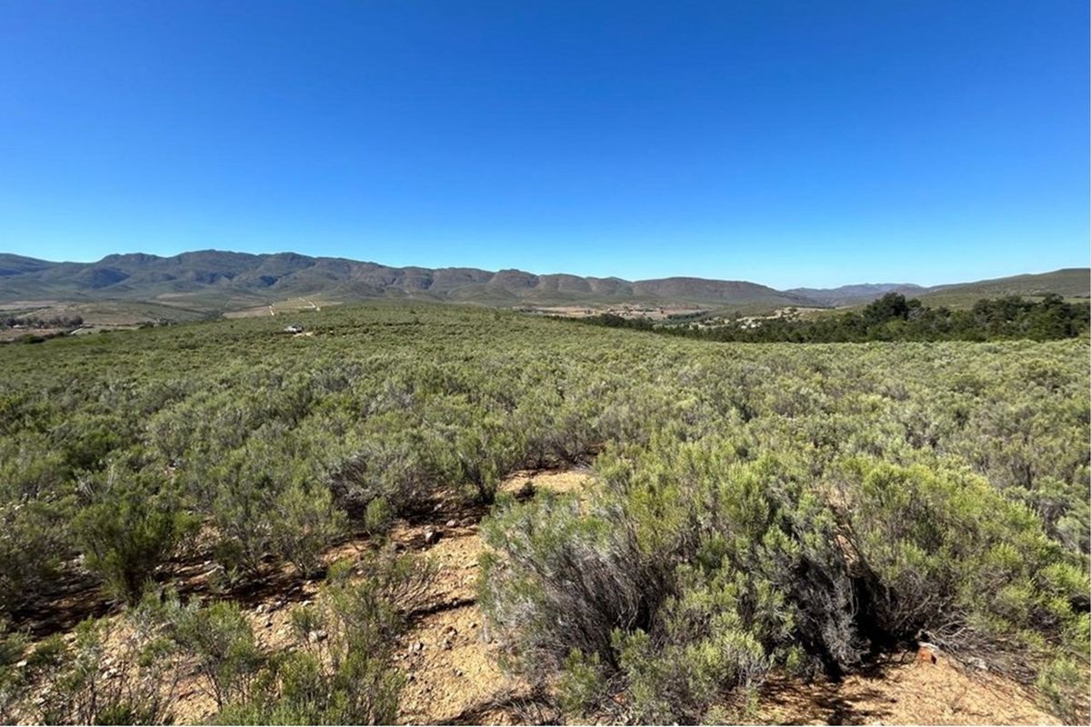 3.18 ha pristine development land close to the Cango Gaves in Oudtshoorn - Photo 5