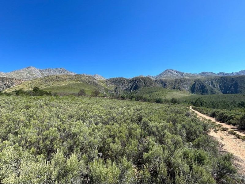 3.18 ha pristine development land close to the Cango Gaves in Oudtshoorn - Photo 3