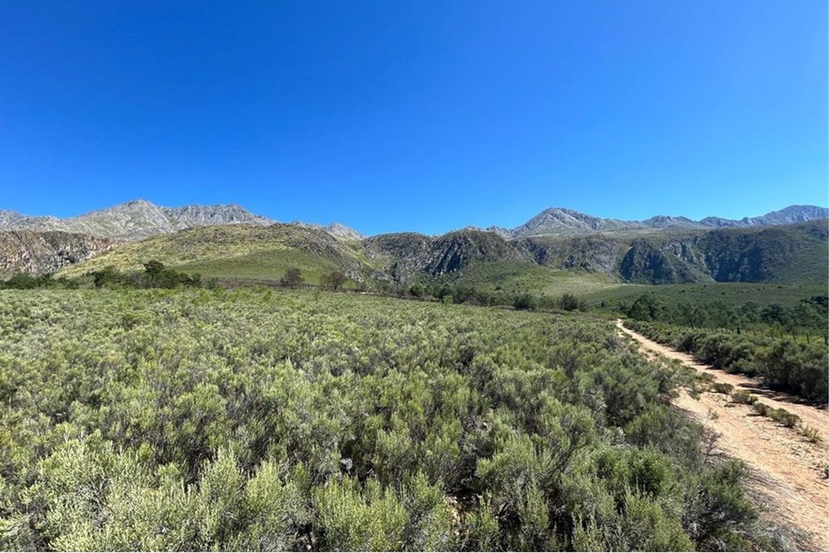 3.18 ha pristine development land close to the Cango Gaves in Oudtshoorn - Photo 3