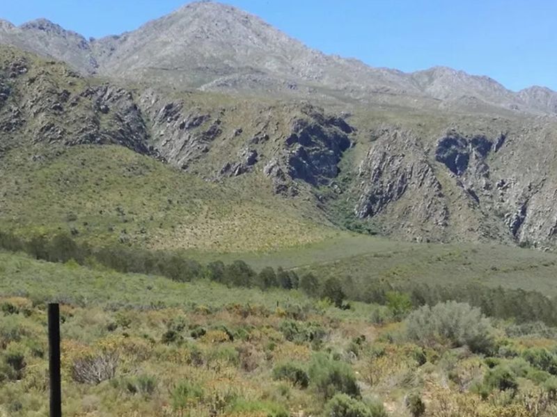 3.18 ha pristine development land close to the Cango Gaves in Oudtshoorn - Photo 9
