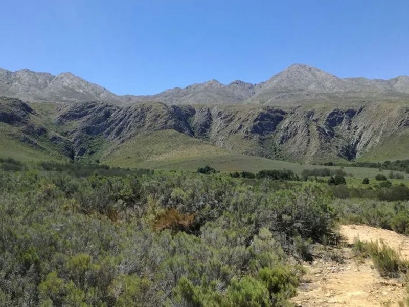 3.18 ha pristine development land close to the Cango Gaves in Oudtshoorn - Photo 10