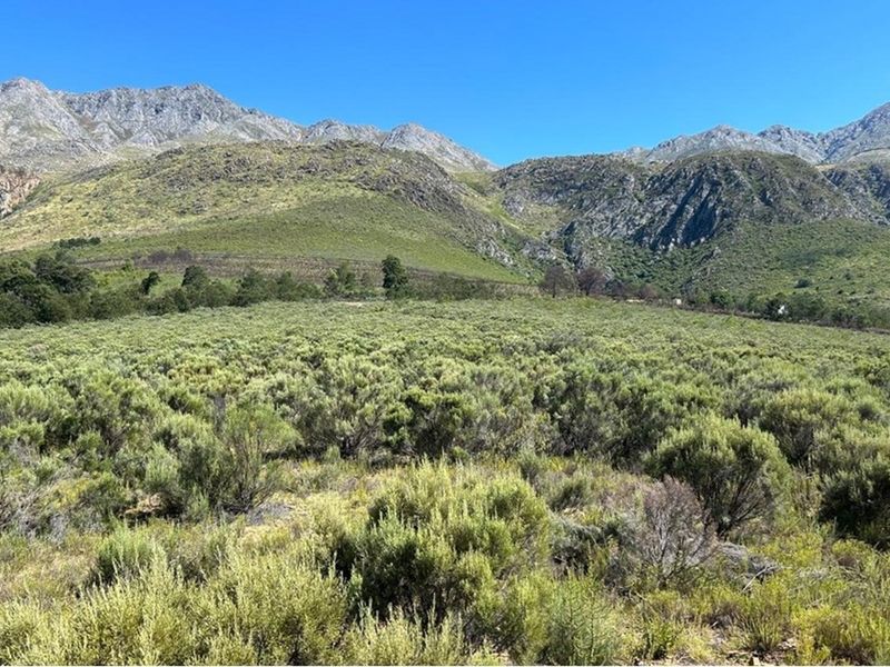 3.18 ha pristine development land close to the Cango Gaves in Oudtshoorn - Photo 8