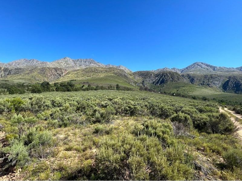 3.18 ha pristine development land close to the Cango Gaves in Oudtshoorn - Photo 7