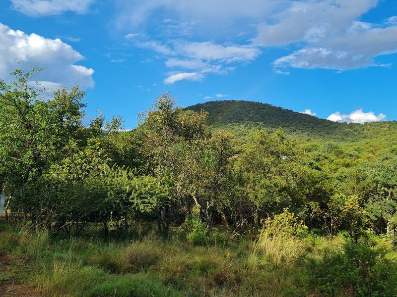 Bushveld Stand with Privacy, Views & Lifestyle.....Limited Availability! - Photo 3