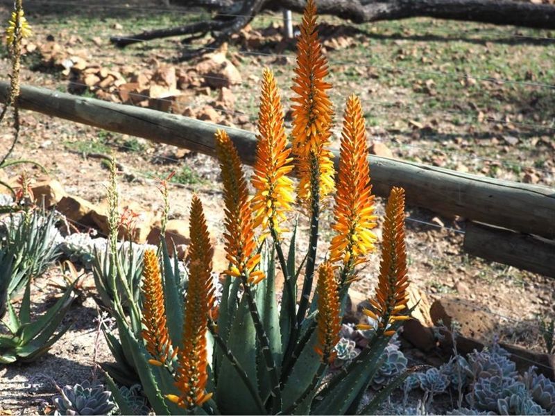 Bushveld Stand with Privacy, Views & Lifestyle.....Limited Availability! - Photo 8