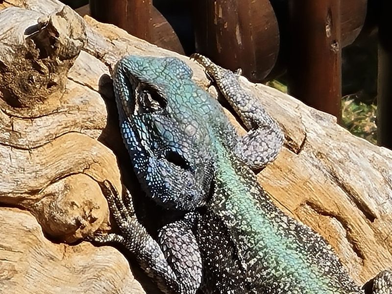 Bushveld Stand with Privacy, Views & Lifestyle.....Limited Availability! - Photo 6