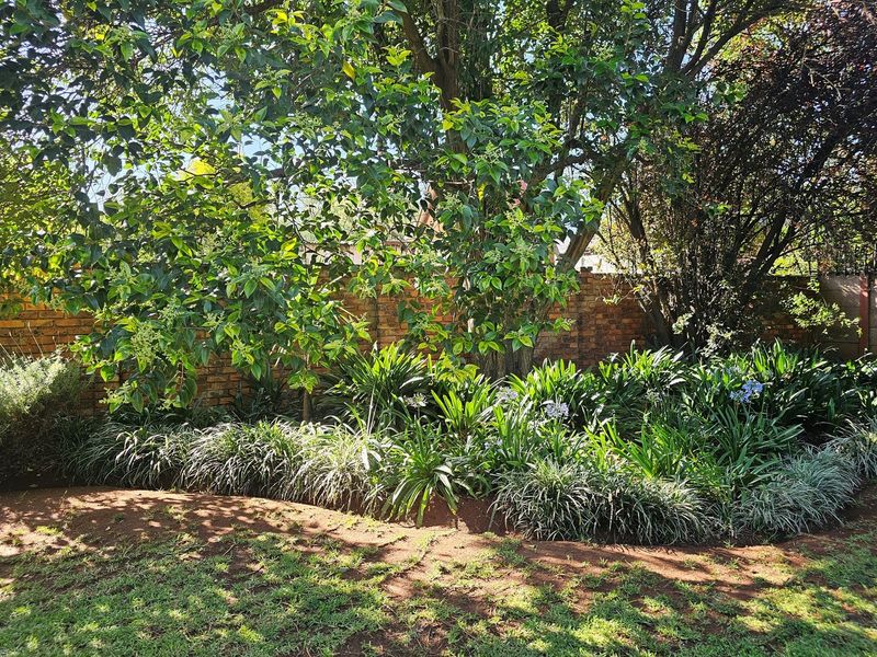 Two in one, exceptional home with many options. A place to put your heart on. - Photo 7