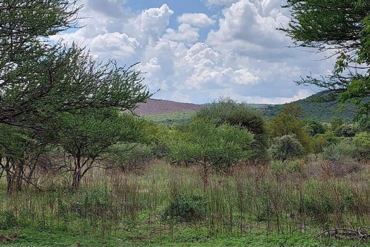 45 ha Smallholding in Roodepoort, Bela Bela with lots of breeding camps and two title deeds - Photo 3