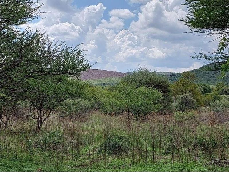 A scenic view of the natural landscape featuring indigenous trees, lush vegetation, and rolling hills under a cloudy sky.