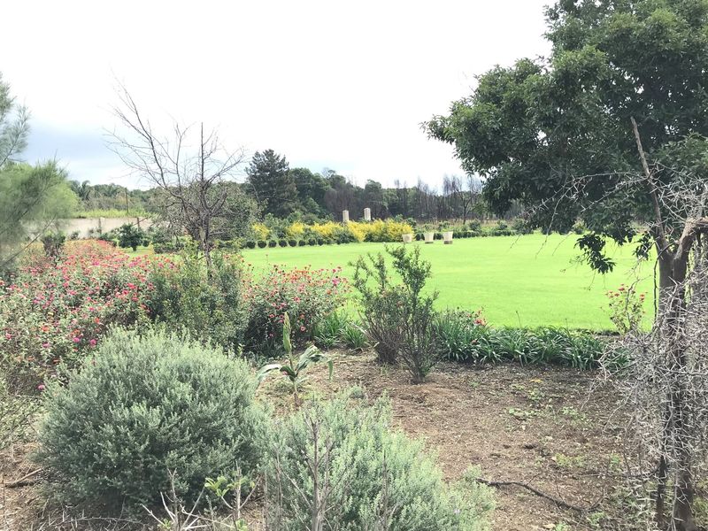 Farm For Sale in Tiegerpoort AH, Pretoria - Photo 4
