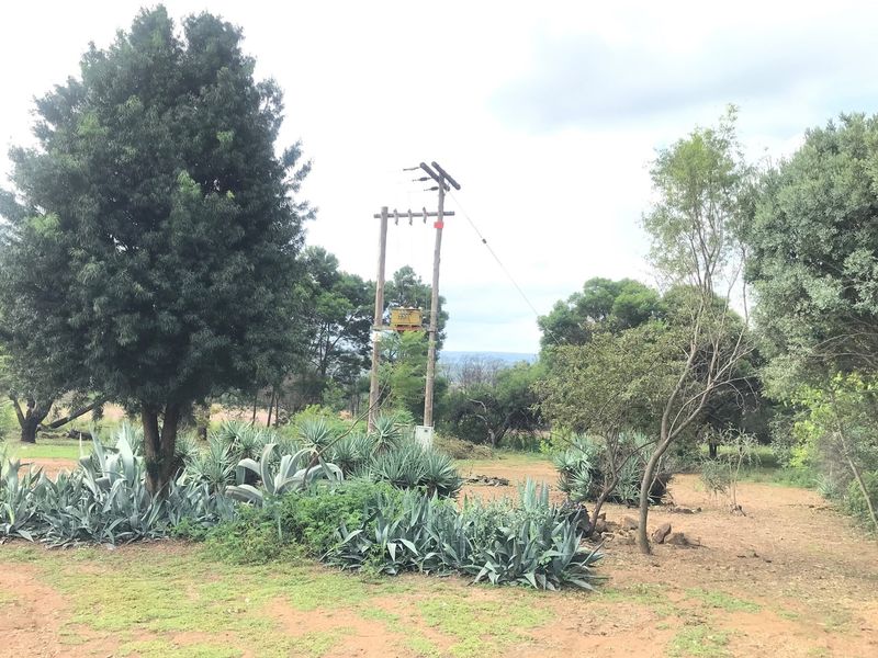 Farm For Sale in Tiegerpoort AH, Pretoria - Photo 9