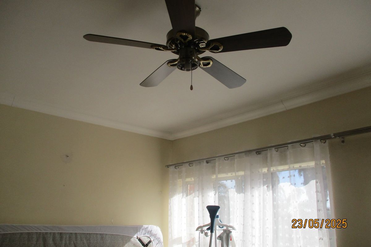 A bedroom featuring a ceiling fan and decorative cove cornice, with natural light filtering through window curtains.