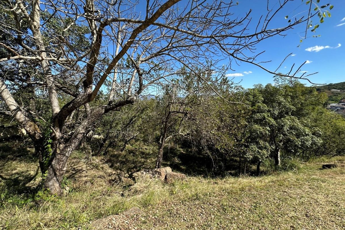 🏡 Vacant Stand For Sale | Mountain View Estate, Drum Rock - Photo 3