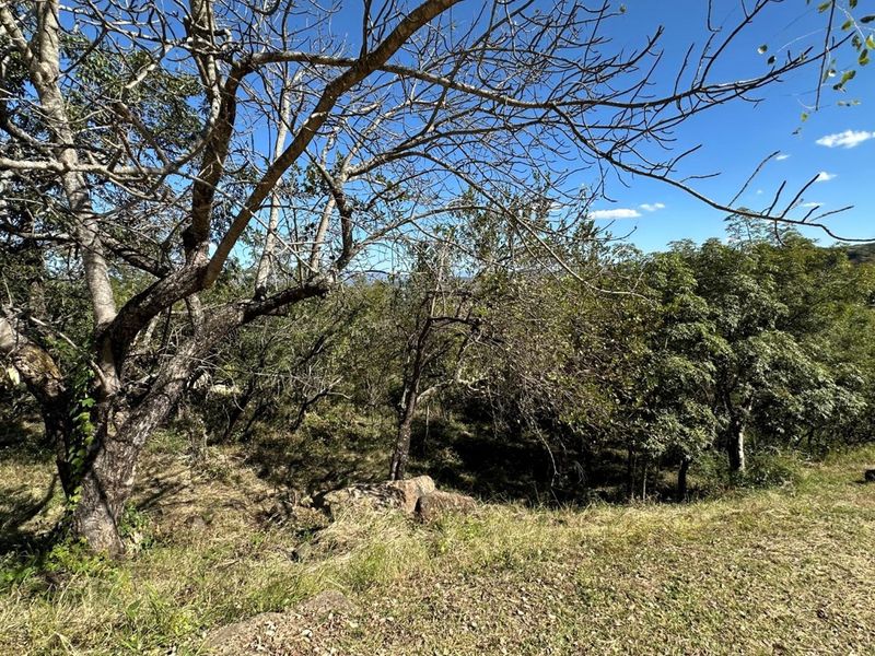 🏡 Vacant Stand For Sale | Mountain View Estate, Drum Rock - Photo 3