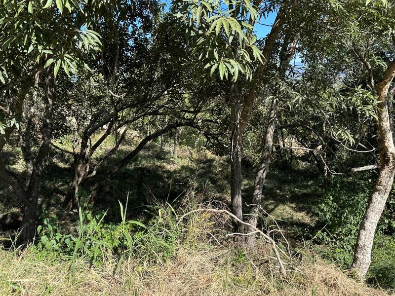 🏡 Vacant Stand For Sale | Mountain View Estate, Drum Rock - Photo 9