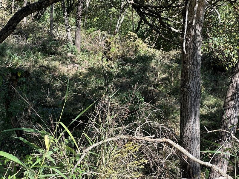 🏡 Vacant Stand For Sale | Mountain View Estate, Drum Rock - Photo 8