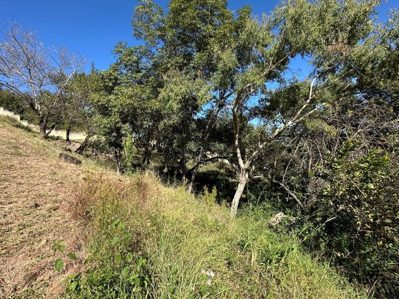 🏡 Vacant Stand For Sale | Mountain View Estate, Drum Rock - Photo 7