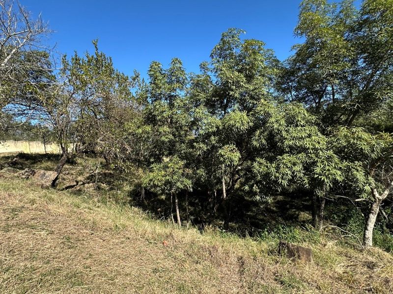 🏡 Vacant Stand For Sale | Mountain View Estate, Drum Rock - Photo 6