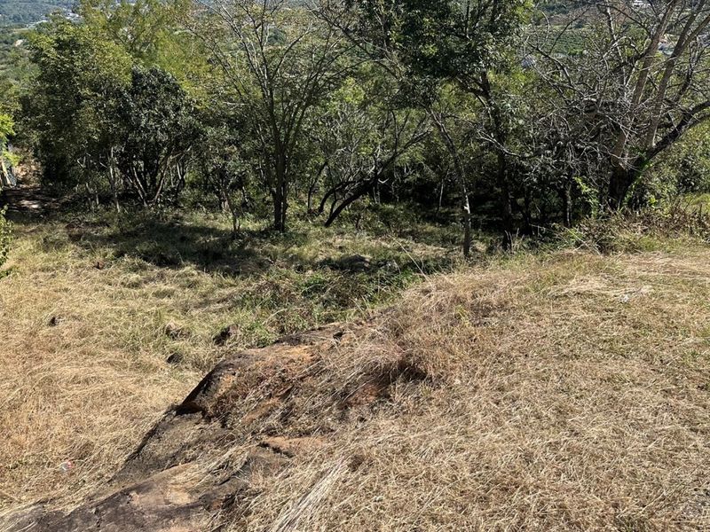 🏡 Vacant Stand For Sale | Mountain View Estate, Drum Rock - Photo 2