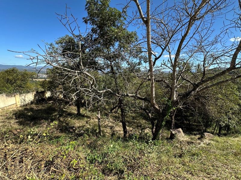 🏡 Vacant Stand For Sale | Mountain View Estate, Drum Rock - Photo 5