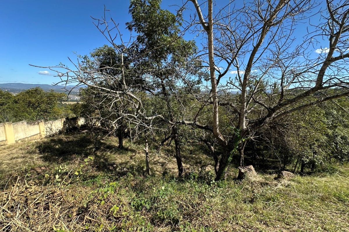 🏡 Vacant Stand For Sale | Mountain View Estate, Drum Rock - Photo 5