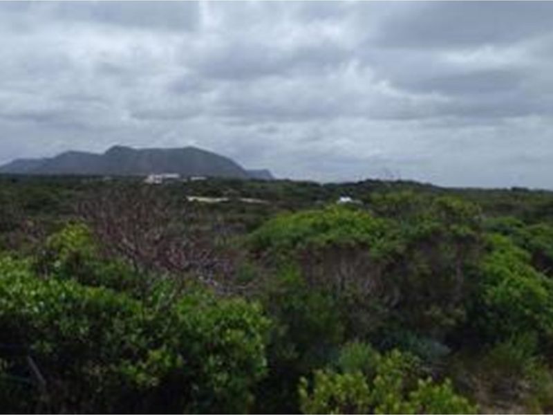 Expansive Coastal Residential lnd 4.2 ha in Birkenhead in Gansbaai - 300 m from sea - Photo 10
