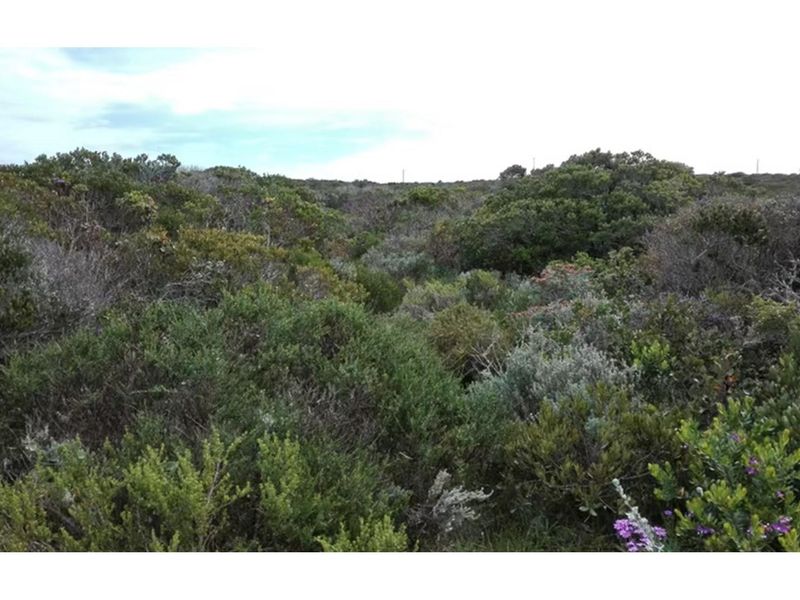 Expansive Coastal Residential lnd 4.2 ha in Birkenhead in Gansbaai - 300 m from sea - Photo 6