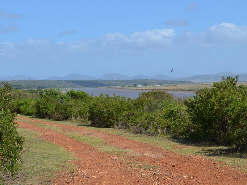 Open Plot Gourits river Estate - Photo 7