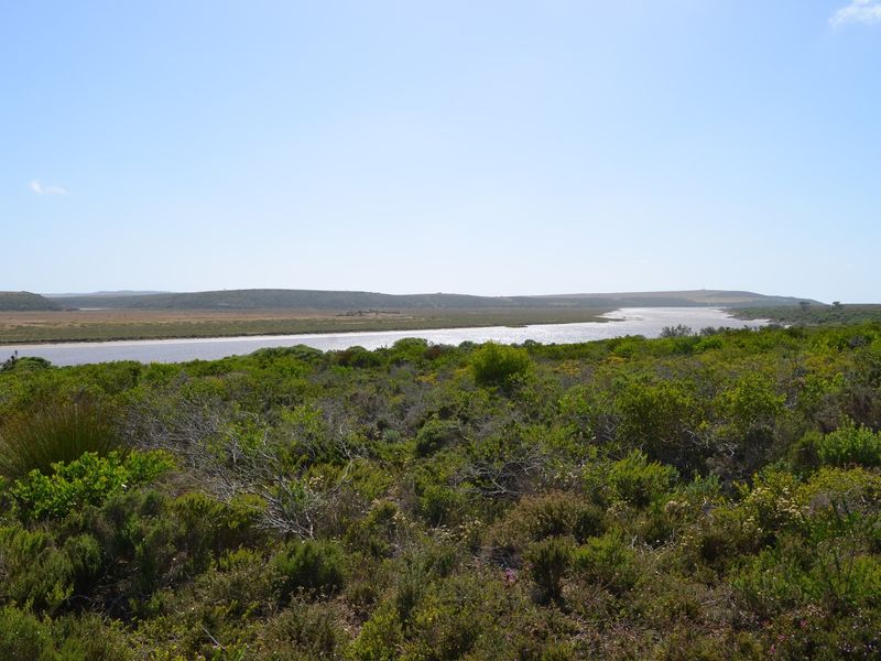 Open Plot Gourits river Estate - Photo 3